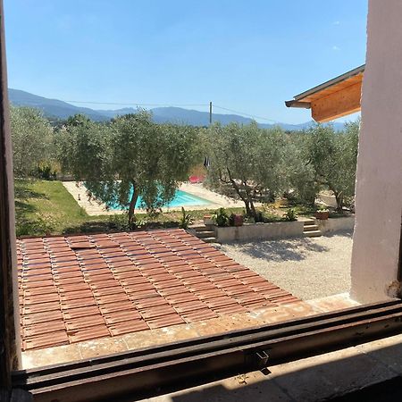 Agriturismo Uliveto Benedetti สโปเลโต ภายนอก รูปภาพ