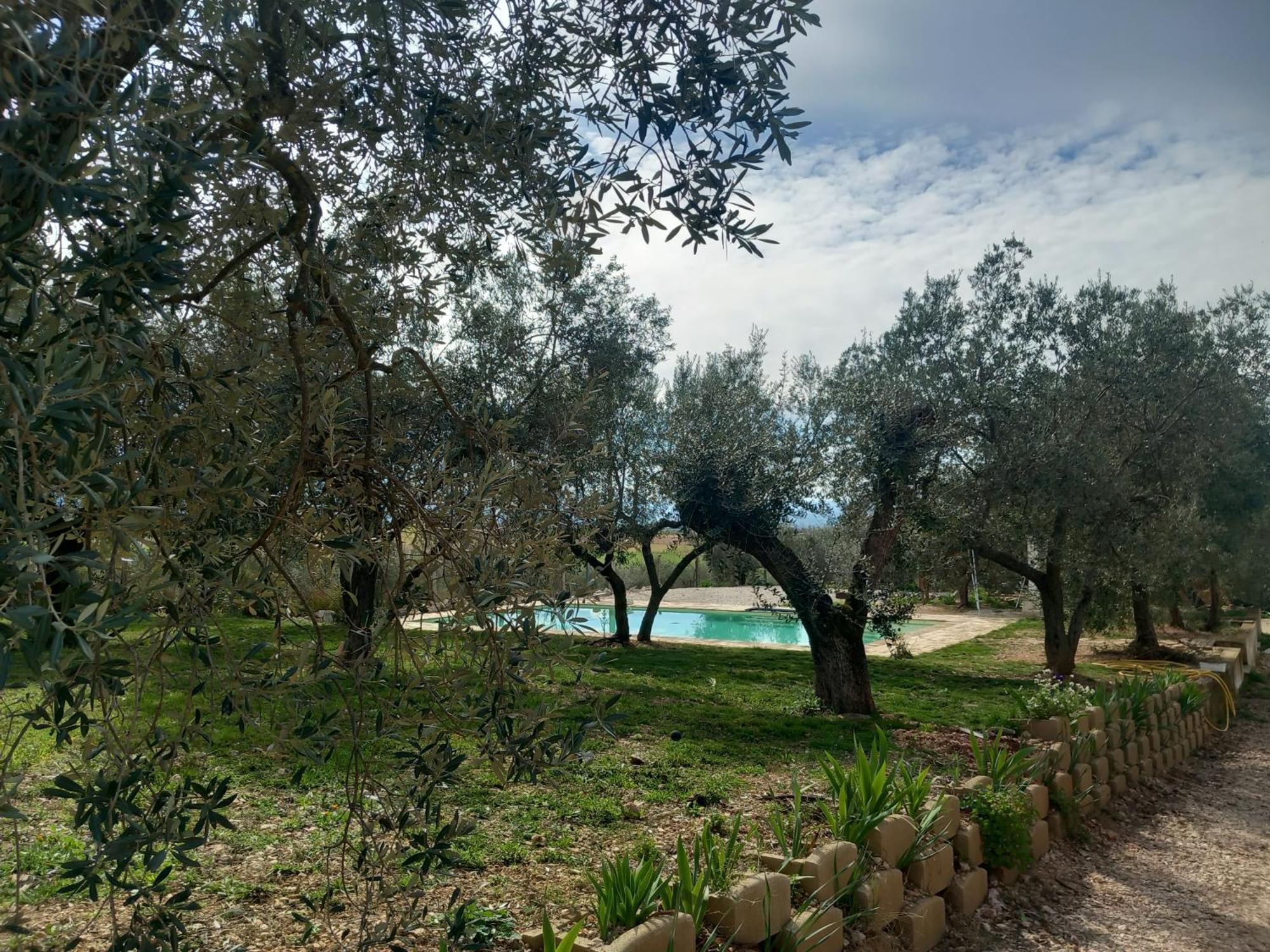 Agriturismo Uliveto Benedetti สโปเลโต ภายนอก รูปภาพ